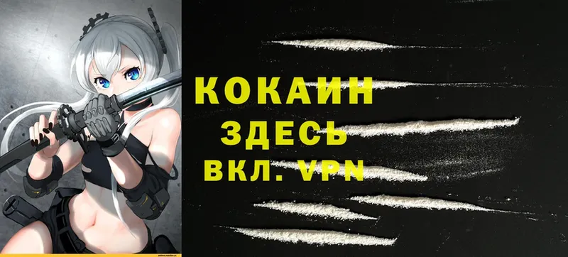 продажа наркотиков  Петушки  Cocaine Columbia 