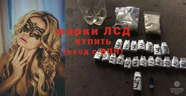 ECSTASY Медвежьегорск