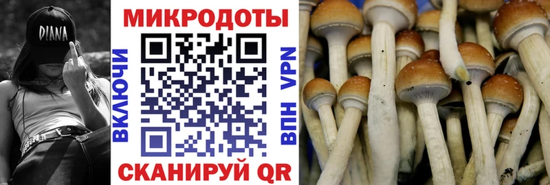 Галлюциногенные грибы MAGIC MUSHROOMS  ОМГ ОМГ маркетплейс  Петушки 
